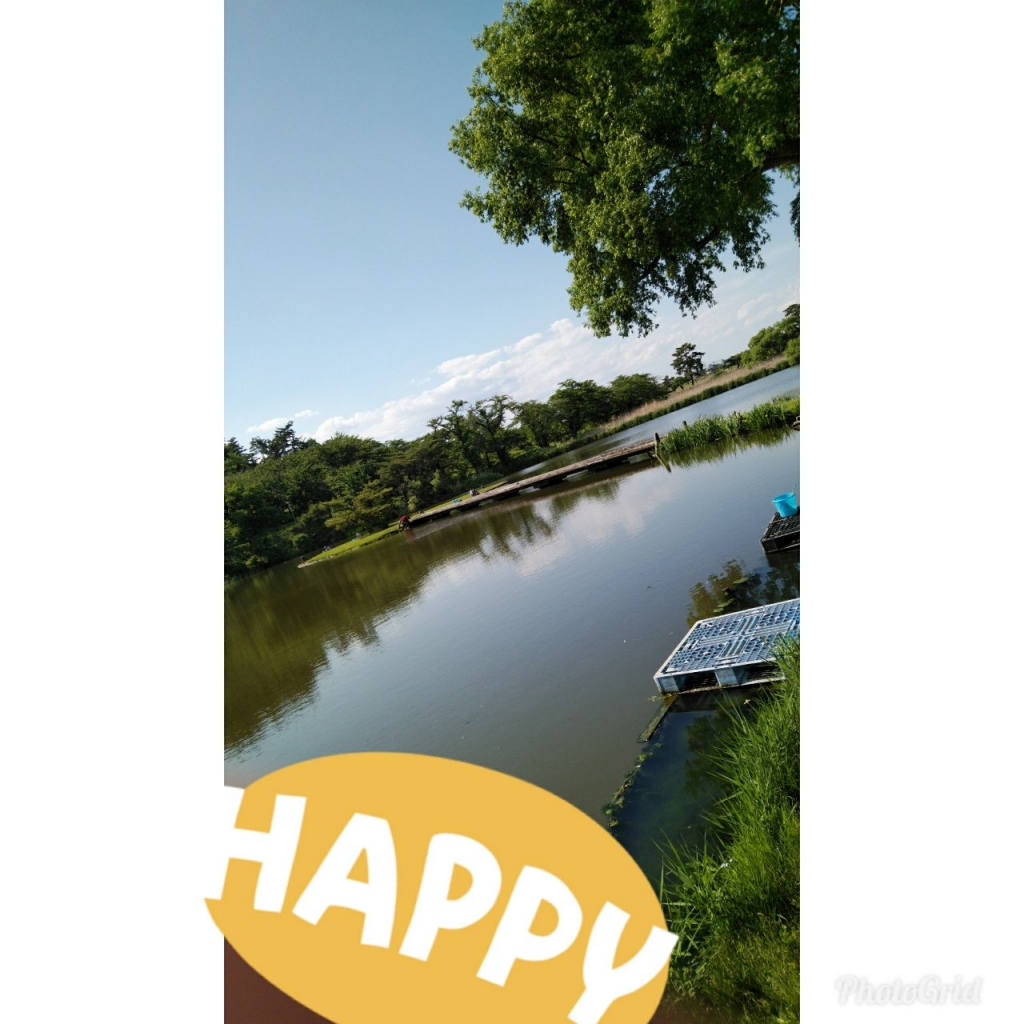 20190607140604_p.jpg