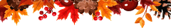 image00.gif