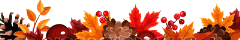 image15.gif