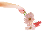 image21.gif
