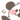image21.gif