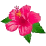 image01.gif
