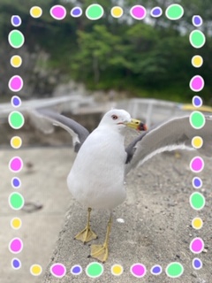image0.jpeg