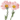 image05.gif