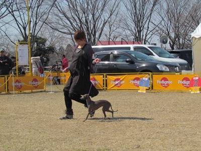 IMG_2440.JPG