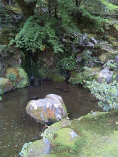 110517_094856.jpg