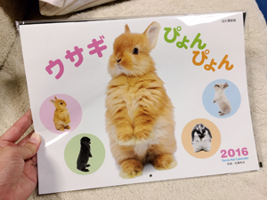 カレンダー