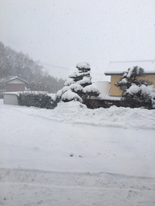 雪