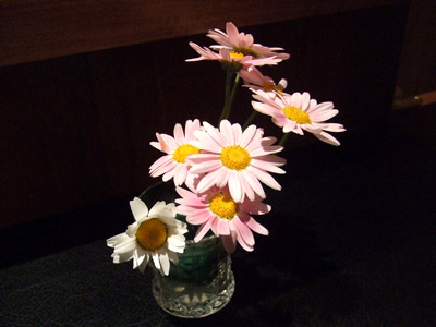 もち豚とんかつ たいよう もち豚とんかつ たいよう