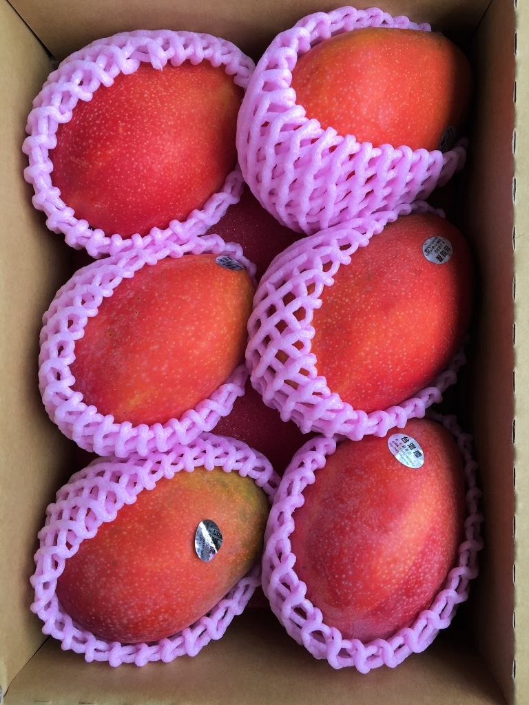 mango2