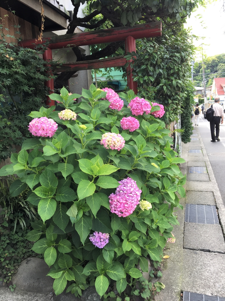 kamakura-1
