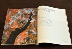 写真展