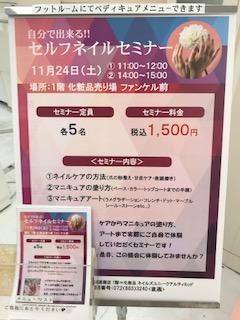image1.jpeg