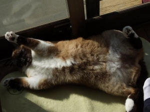 おはな