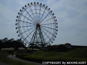ひたち海浜公園