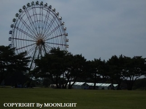ひたち海浜公園