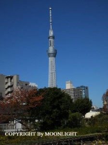 スカイツリー