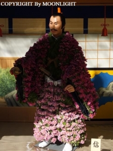 湯島天神菊祭り