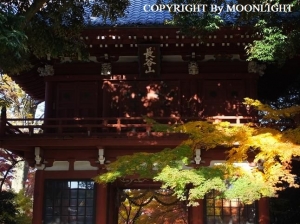 本土寺入口