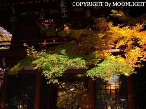本土寺入口