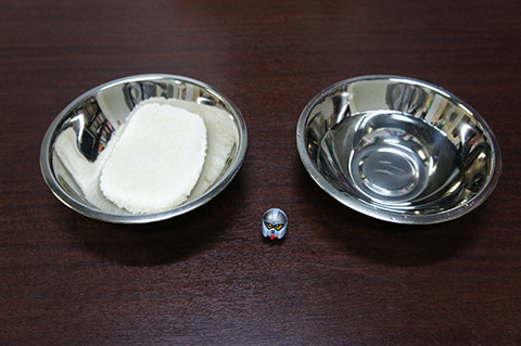 DSC08020.jpg