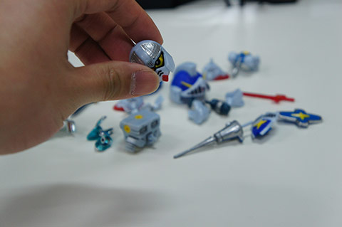 DSC08016.jpg