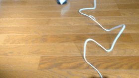 mou 001.gif