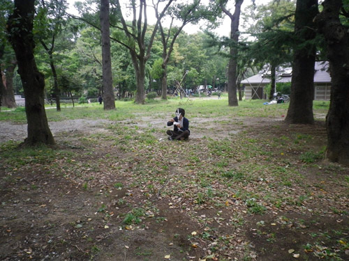 IMGP0172.jpg