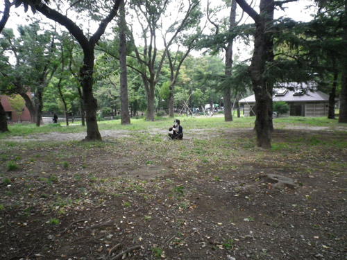 IMGP0173.jpg