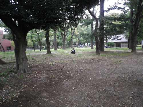 IMGP0174.jpg