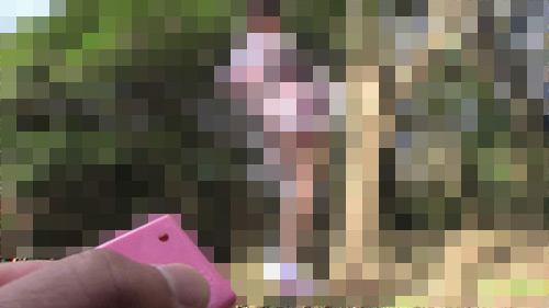 037187363.jpg