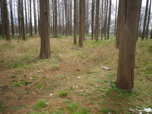 IMGP0305.jpg