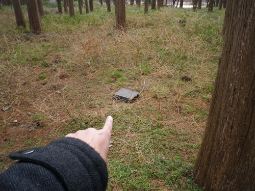 IMGP0316.jpg
