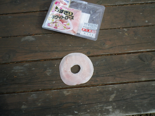 IMGP0317.jpg