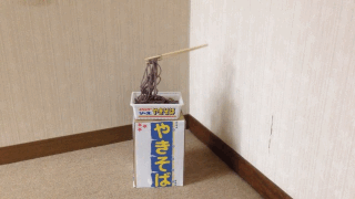 pe8 003.gif