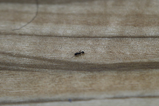 20140424021.jpg