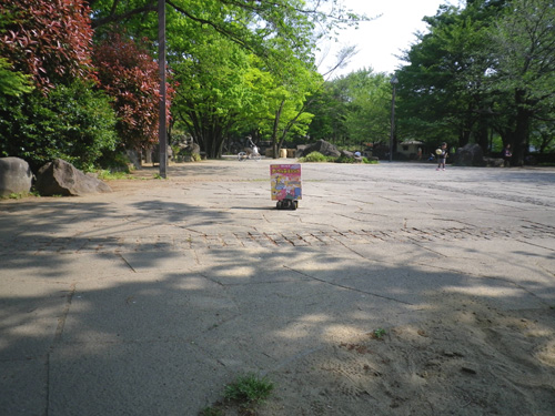 IMGP0403.jpg