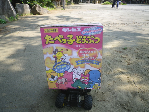 IMGP0406.jpg