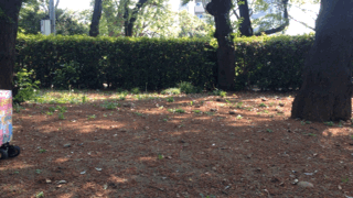 tabe 029.gif