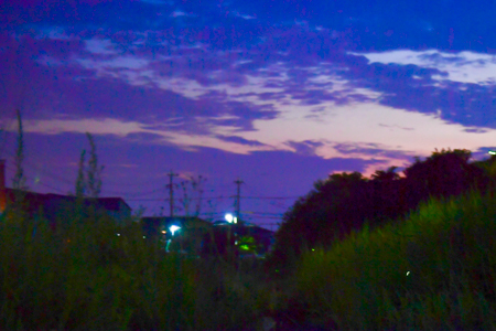 DSC-2336.jpg