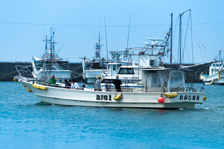 DSC-2884.jpg
