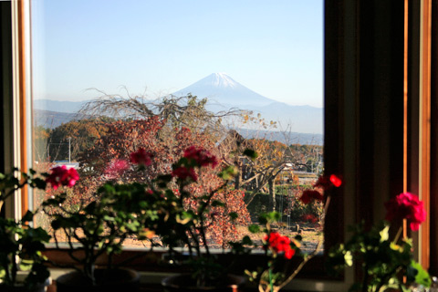 植月邸窓辺から望む富士山