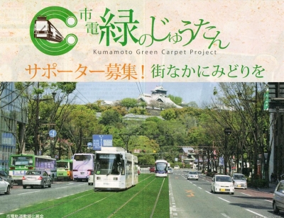 緑のじゅうたん