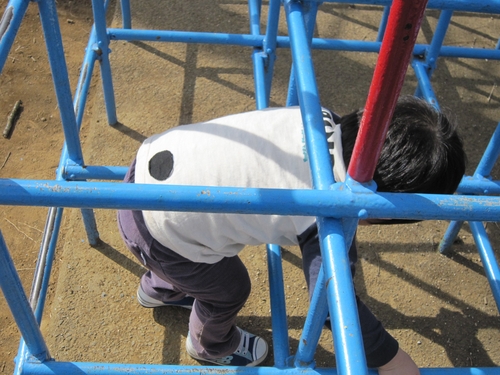 musuko
