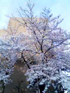 090405_1734~001.jpg