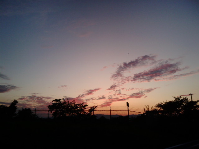 20090823184529.jpg