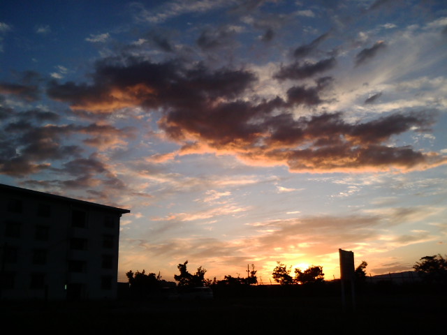 20091011172013.jpg