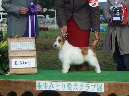 R.King_¥Þ¥¤¥í