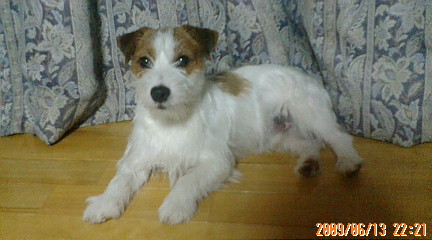 20090613222108.jpg