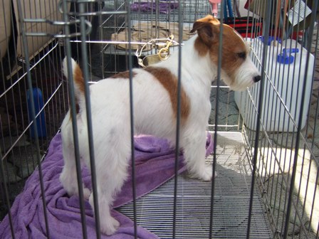 JRT²´BOB¤Î¥ï¥ó_1